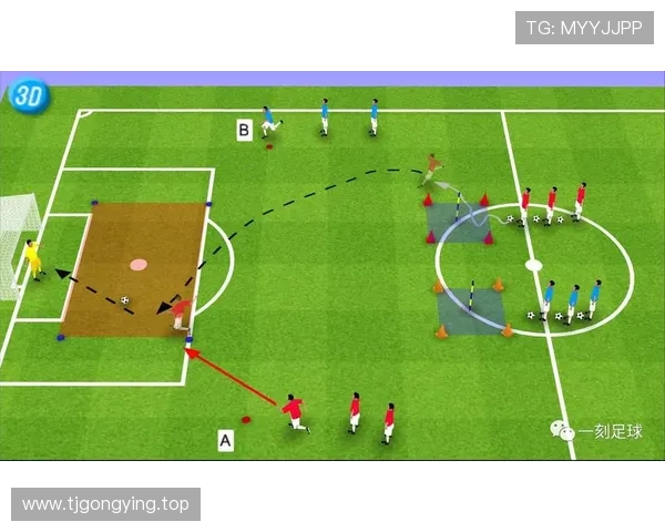 德佬提议:足球分析应纳入意大利教育体系 德佬提议:足球分析应纳入意大利教育体系